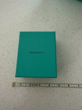 Tiffany & Co. Turquoise Gift Box